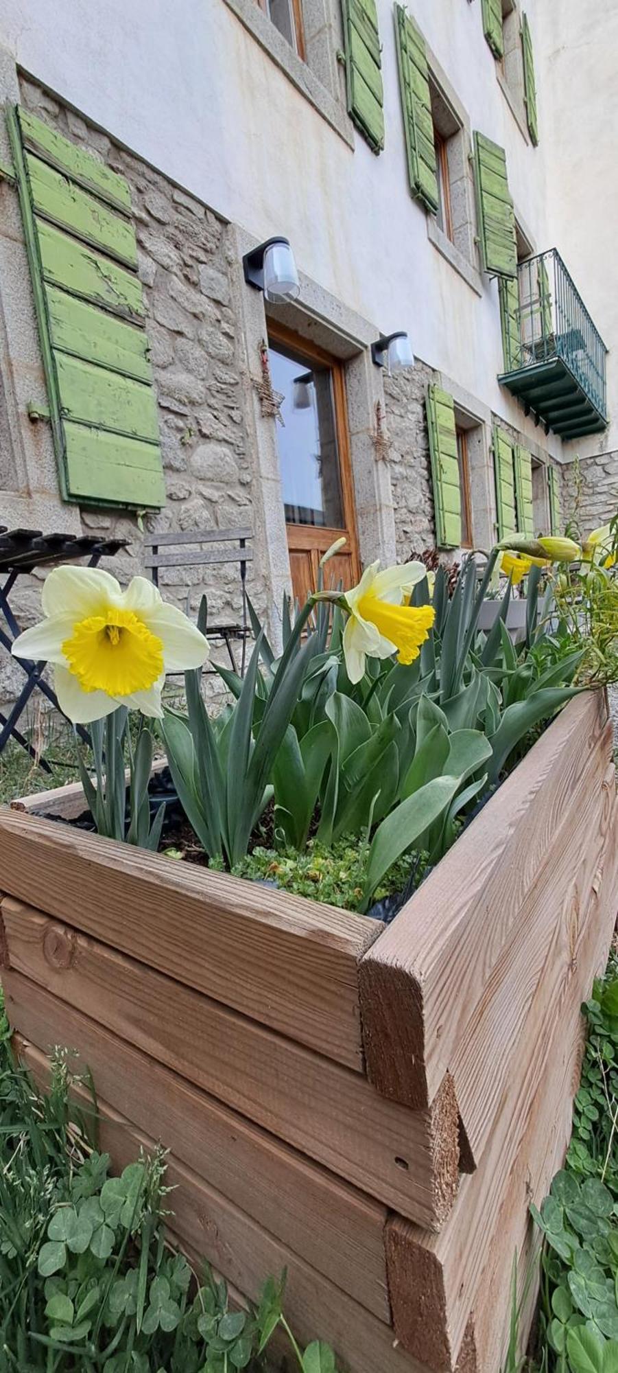 Le Grenier Des Moineaux Bed and Breakfast Font Romeu Exterior foto